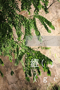 經(jīng)濟(jì)糾紛怎么起訴個(gè)人(如何起訴經(jīng)濟(jì)糾紛)
