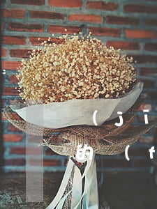 經(jīng)濟(jì)糾紛打官司律師的費(fèi)用是多少(打經(jīng)濟(jì)官司律師怎么收費(fèi))
