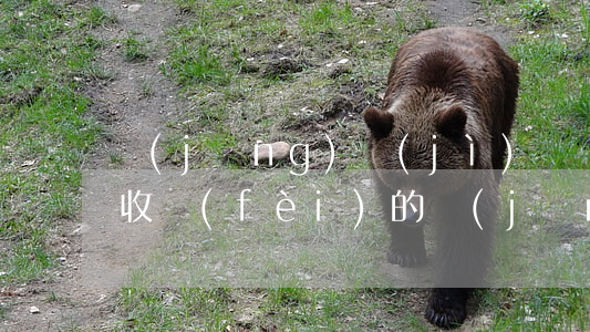 經(jīng)濟(jì)糾紛找律師怎么收費(fèi)的(經(jīng)濟(jì)糾紛律師費(fèi)用多少)