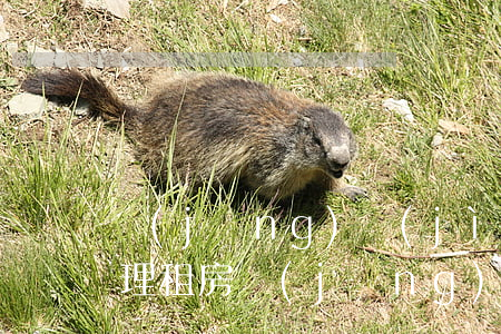 經(jīng)濟(jì)糾紛案件怎么處理(租房經(jīng)濟(jì)糾紛案件怎么處理)