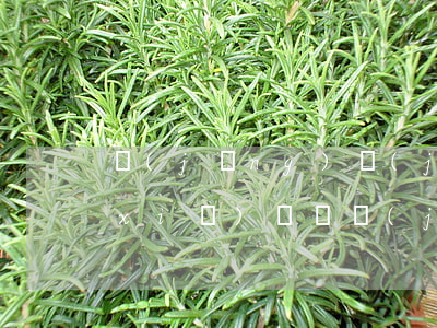 經(jīng)濟(jì)糾紛案怎么寫(xiě)訴狀(經(jīng)濟(jì)訴狀怎么寫(xiě)才能立案)