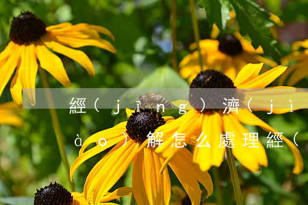 經(jīng)濟(jì)糾紛案調(diào)解怎么處理(經(jīng)濟(jì)案件調(diào)解后算結(jié)案嗎)