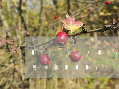 經(jīng)濟(jì)糾紛法院起訴后可以撤訴嗎(經(jīng)濟(jì)糾紛判決后可以撤訴嗎)