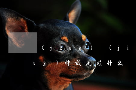 經(jīng)濟(jì)糾紛申請(qǐng)仲裁流程(什么糾紛可以申請(qǐng)仲裁解決)