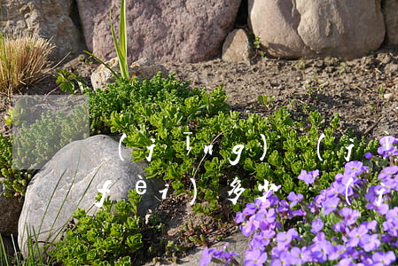 經(jīng)濟(jì)糾紛的訴訟費(fèi)多少錢(經(jīng)濟(jì)糾紛起訴費(fèi)用標(biāo)準(zhǔn))