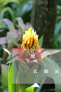 經(jīng)濟(jì)糾紛立案法院怎么做(法院起訴流程 民事糾紛 經(jīng)濟(jì)糾紛 人民)