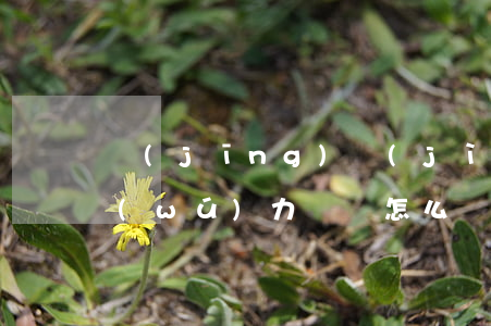 經(jīng)濟(jì)糾紛被起訴了無(wú)力償還怎么辦(經(jīng)濟(jì)糾紛沒(méi)有償還能力怎么辦)