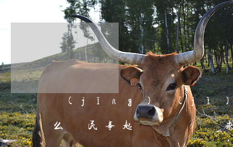 經(jīng)濟(jì)糾紛訴訟請求怎么寫(民事起訴狀訴訟請求怎么寫 經(jīng)濟(jì)糾紛)