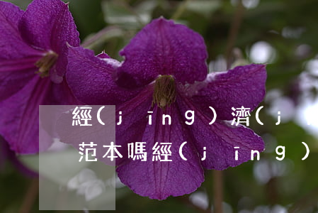 經(jīng)濟(jì)訴狀書怎么寫有范本嗎(經(jīng)濟(jì)起訴狀范文)