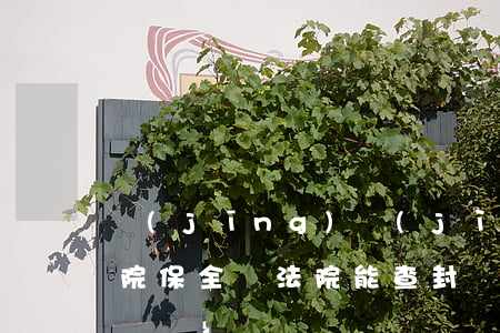 經(jīng)濟(jì)適用房可以被法院保全嗎(法院能查封經(jīng)濟(jì)適用房)
