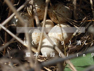 經(jīng)濟(jì)適用房可以遺囑繼承嗎(經(jīng)濟(jì)適用房有繼承權(quán)嗎)