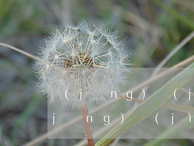 經(jīng)濟(jì)適用房條件(經(jīng)濟(jì)適用房條件)
