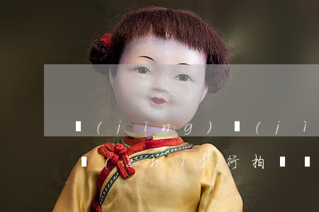 經(jīng)濟(jì)適用房法院可以執(zhí)行拍賣嗎(法院執(zhí)行房產(chǎn)拍賣的條件)