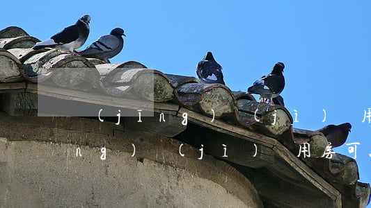 經(jīng)濟(jì)適用房(經(jīng)濟(jì)適用房可以買(mǎi)賣(mài)嗎?)