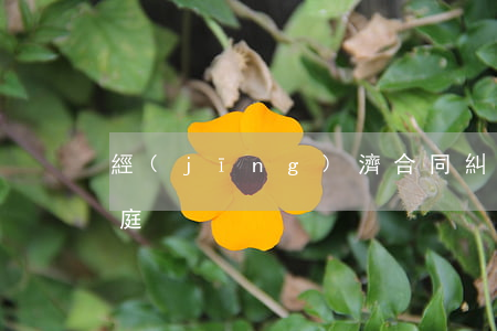 經(jīng)濟合同糾紛上訴一般多久開庭