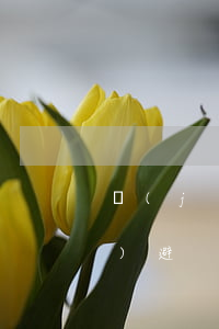 經(jīng)濟合同糾紛如何規(guī)避