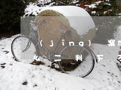 經(jīng)濟案件二審判決后不服的怎么辦(二審判決下來不服怎么辦)