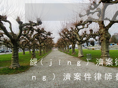 經(jīng)濟案律師怎么收費(經(jīng)濟案件律師費一般怎么收費)