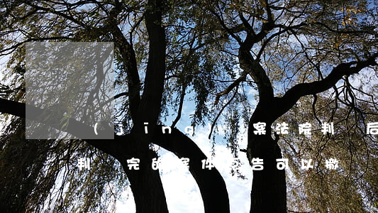 經(jīng)濟案法院判決后可以撤訴嗎(判決完的案件 原告可以撤訴嗎)