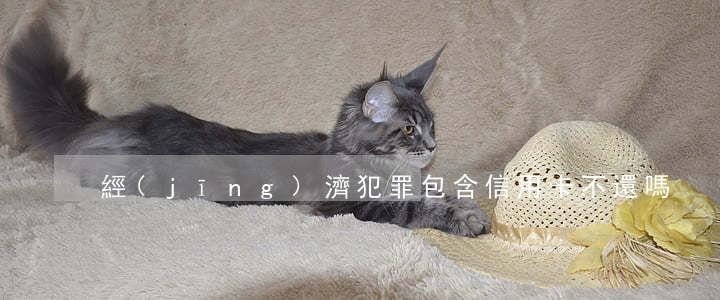 經(jīng)濟犯罪包含信用卡不還嗎