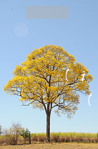 經(jīng)濟糾紛一審二審都敗訴怎么辦(經(jīng)濟糾紛二審推翻一審幾乎沒有)