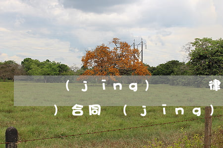 經(jīng)濟糾紛律師團隊(專業(yè)合同經(jīng)濟糾紛律師)