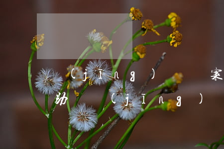 經(jīng)濟糾紛案件可以申請法律援助嗎(經(jīng)濟糾紛案件可以申請法律援助嗎)