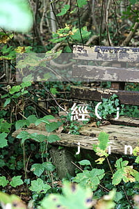 經(jīng)濟糾紛能全部委托律師(經(jīng)濟糾紛起訴必須通過律師事務(wù)所嗎)