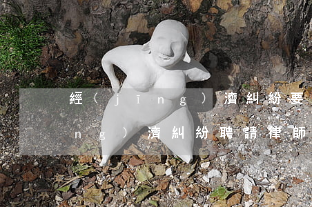 經(jīng)濟糾紛要請律師嗎(經(jīng)濟糾紛聘請律師多少錢)