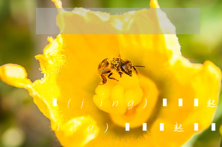 經(jīng)濟糾紛起訴狀怎么寫(經(jīng)濟糾紛起訴狀怎么寫)