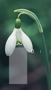 經(jīng)濟適用房產(chǎn)權