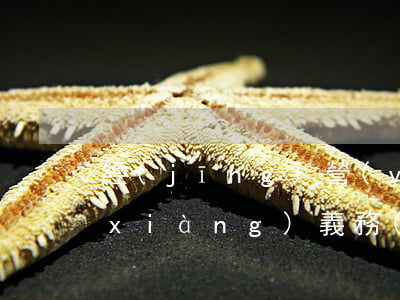經(jīng)營(yíng)者的十項(xiàng)義務(wù)有哪些
