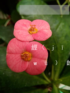 經(jīng)營人身保險業(yè)務(wù)的外資保險公司設(shè)立形式如何確定