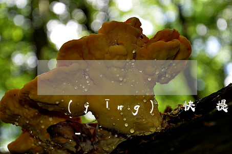 經(jīng)營快貸提前還款下次能多貸嗎-