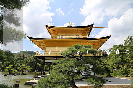 經(jīng)營的意思