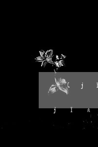 經(jīng)營許可證申請(臨時占道經(jīng)營許可證申請)