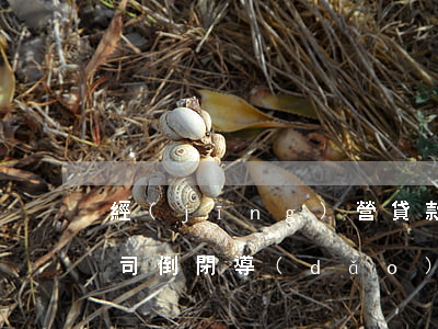 經(jīng)營貸款逾期五年洗白(貸款公司倒閉導(dǎo)致逾期)
