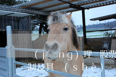 經(jīng)理層股票期權(quán)制及其設(shè)計(jì)