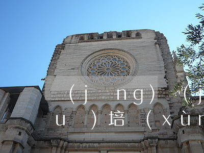 經(jīng)紀(jì)人法律法規(guī)培訓(xùn)內(nèi)容(職業(yè)經(jīng)紀(jì)人需要學(xué)習(xí)哪些法律常規(guī)知識(shí)呢)