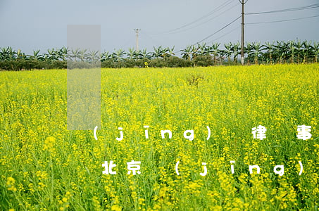 經(jīng)緯律師事務(wù)所怎么樣(北京經(jīng)緯律師事務(wù)所律師)
