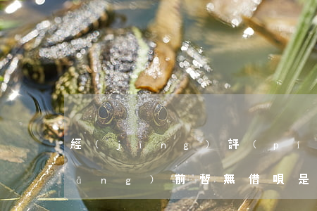 經(jīng)評(píng)估你當(dāng)前暫無借唄是逾期了嗎-經(jīng)評(píng)估你當(dāng)前暫無借唄額度建議你保持支付寶使用活躍