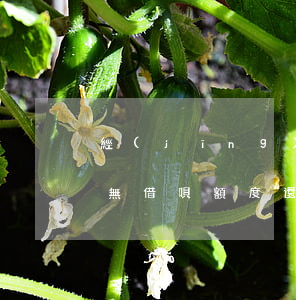 經(jīng)評估你當(dāng)前暫無借唄額度還款后-經(jīng)評估你當(dāng)前暫無借唄額度還款后會恢復(fù)嗎