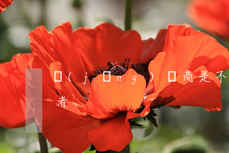 經(jīng)銷商是不是消費(fèi)者