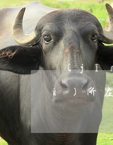 經(jīng)開區(qū)律師事務(wù)所在什么地方(高新區(qū)律師咨詢地址)