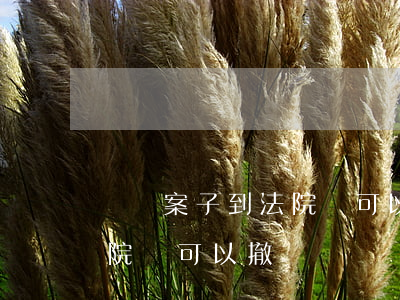 經偵案子到法院還可以撤訴嗎(經偵案子到法院還可以撤訴嗎)