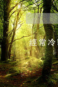 經常冷戰是否該離婚(老公提離婚后一直冷戰)