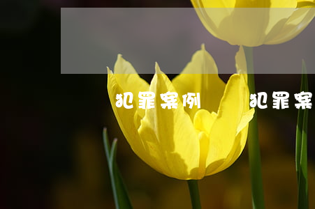 經濟犯罪案例(經濟犯罪案例及分析)