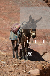 經濟糾紛怎么起訴個人(個人經濟糾紛怎么處理)