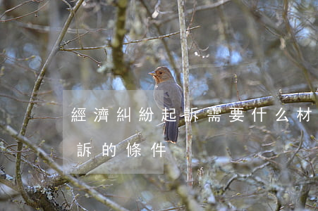 經濟糾紛起訴需要什么材料(經濟糾紛案件起訴的條件)