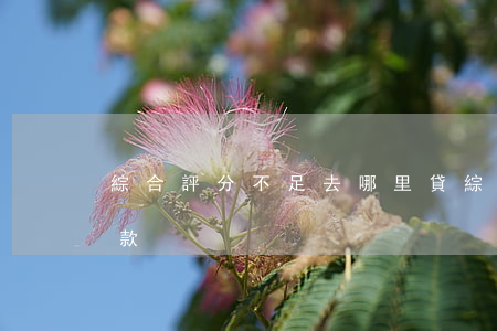 綜合評分不足去哪里貸(綜合評分不足去哪借款)